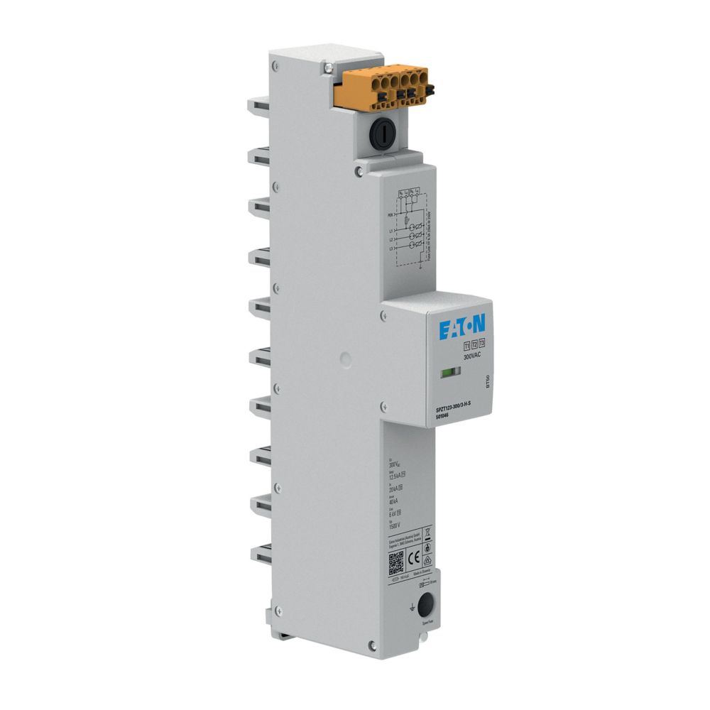 Eaton Electric SPZT123-300/3-H-S Pic_2