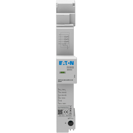 Eaton Electric SPZT123-300/3+NPE-S-OS Pic_1
