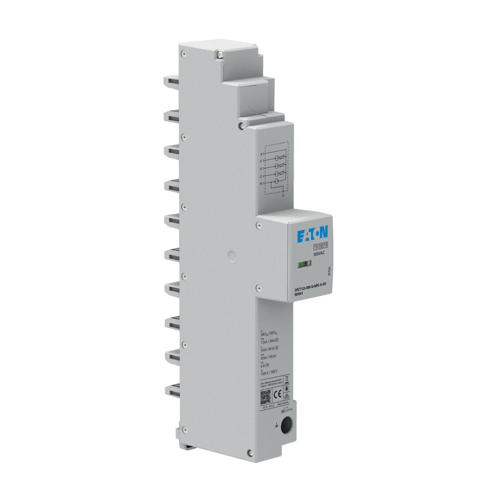 Eaton Electric SPZT123-300/3+NPE-S-OS Pic_2