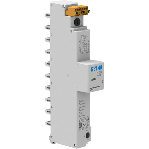 Eaton Electric SPZT123-300/3+NPE-S Pic_1