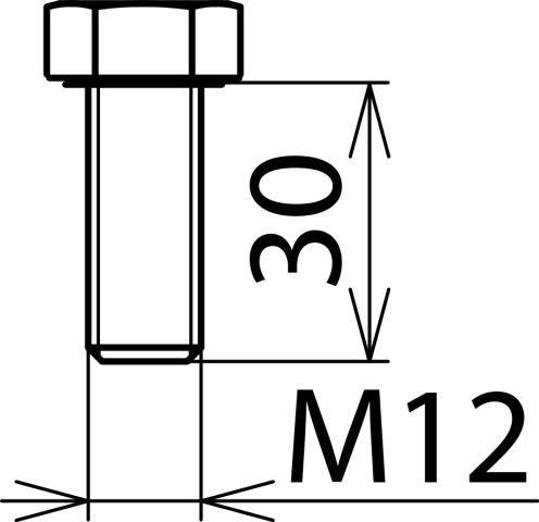 Dehn + Söhne SKS M12X30 V2A Pic_2