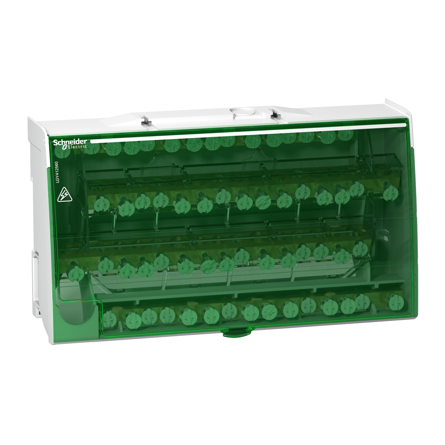 Schneider Electric LGY412560 Pic_1