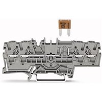 Wago 2002-1881 Pic_1