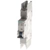 Siemens 5SJ4101-8HG42 Pic_1
