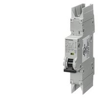 Siemens 5SJ4101-7HG42 Pic_1