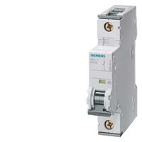 Siemens 5SY4106-7 Pic_1
