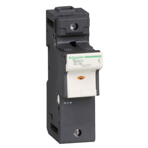 Schneider Electric DF221V Pic_2