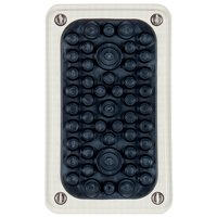 Striebel & John ZW52 Pic_3