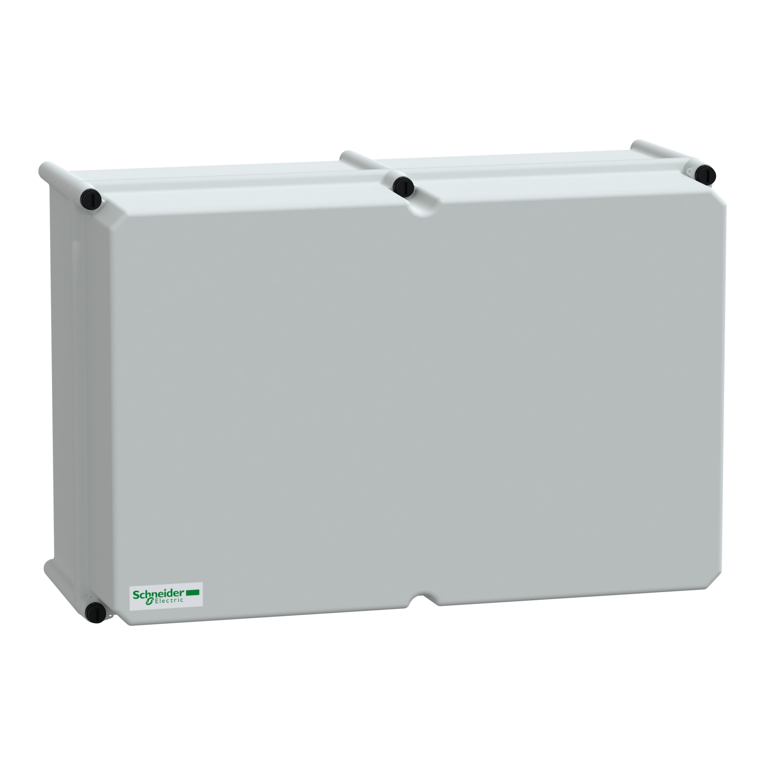 Schneider Electric NSYPLSC3654AG Pic_1