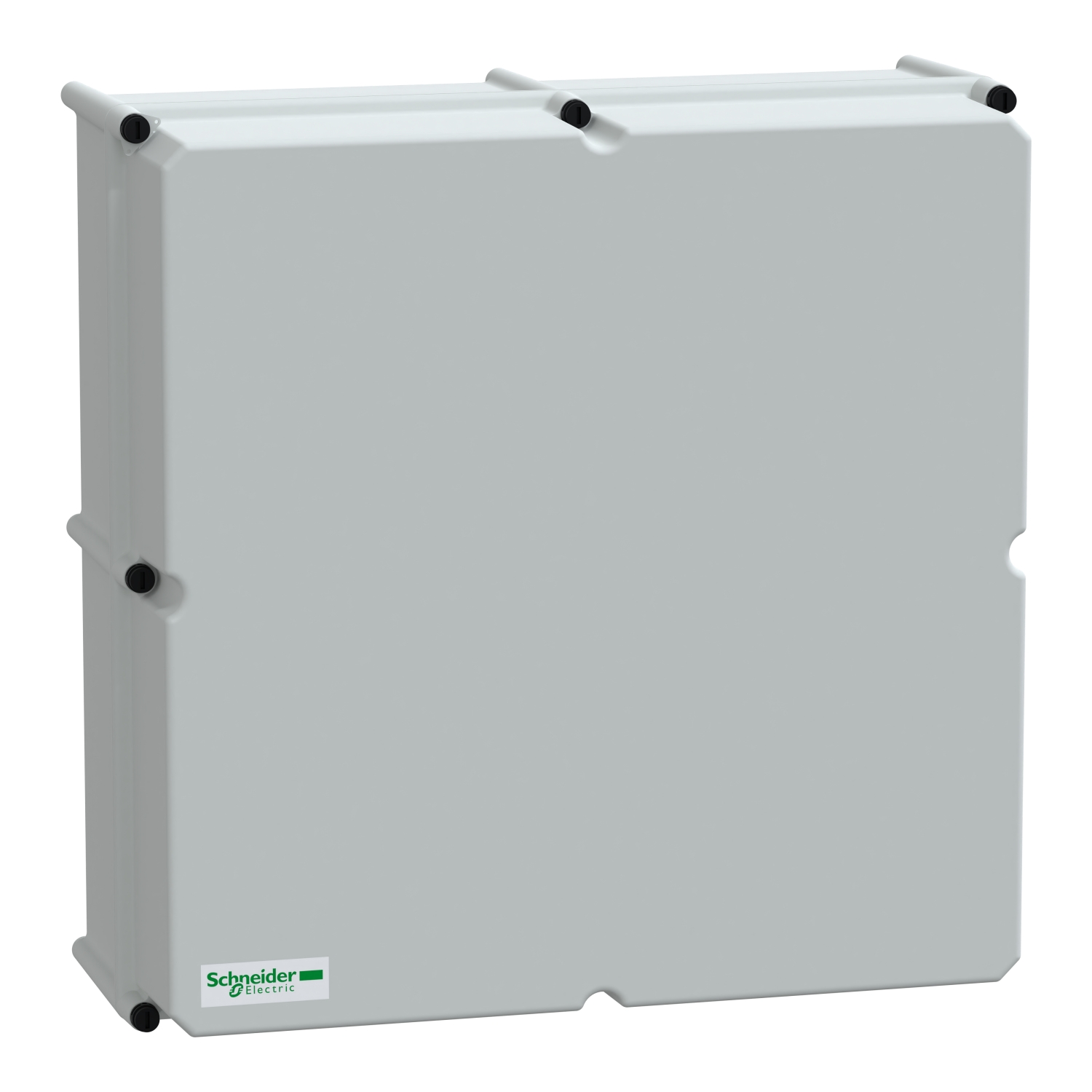 Schneider Electric NSYPLSC5454G Pic_1