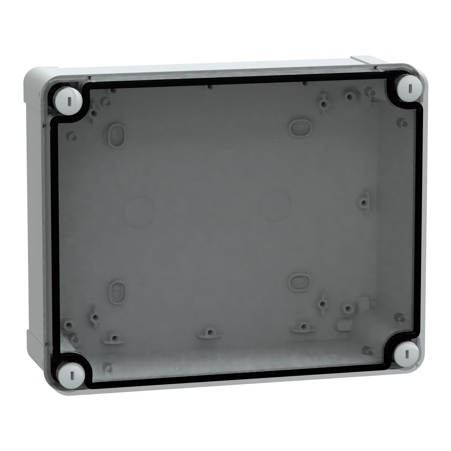 Schneider Electric NSYTBS24198T Pic_1
