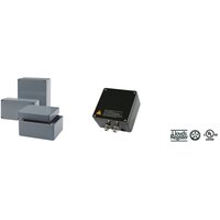 Rose 0010813060 Pic_1