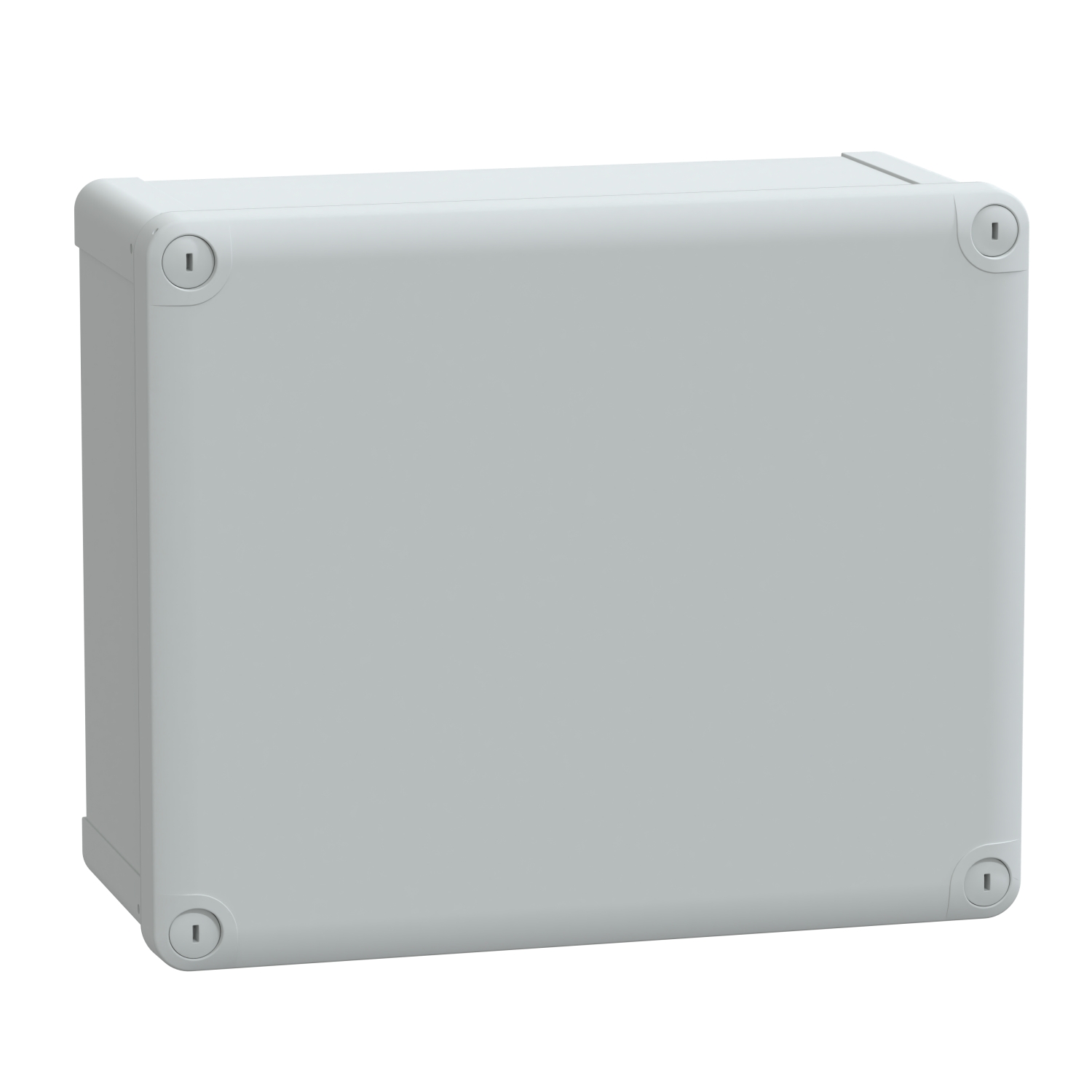 Schneider Electric NSYTBP292412H Pic_1