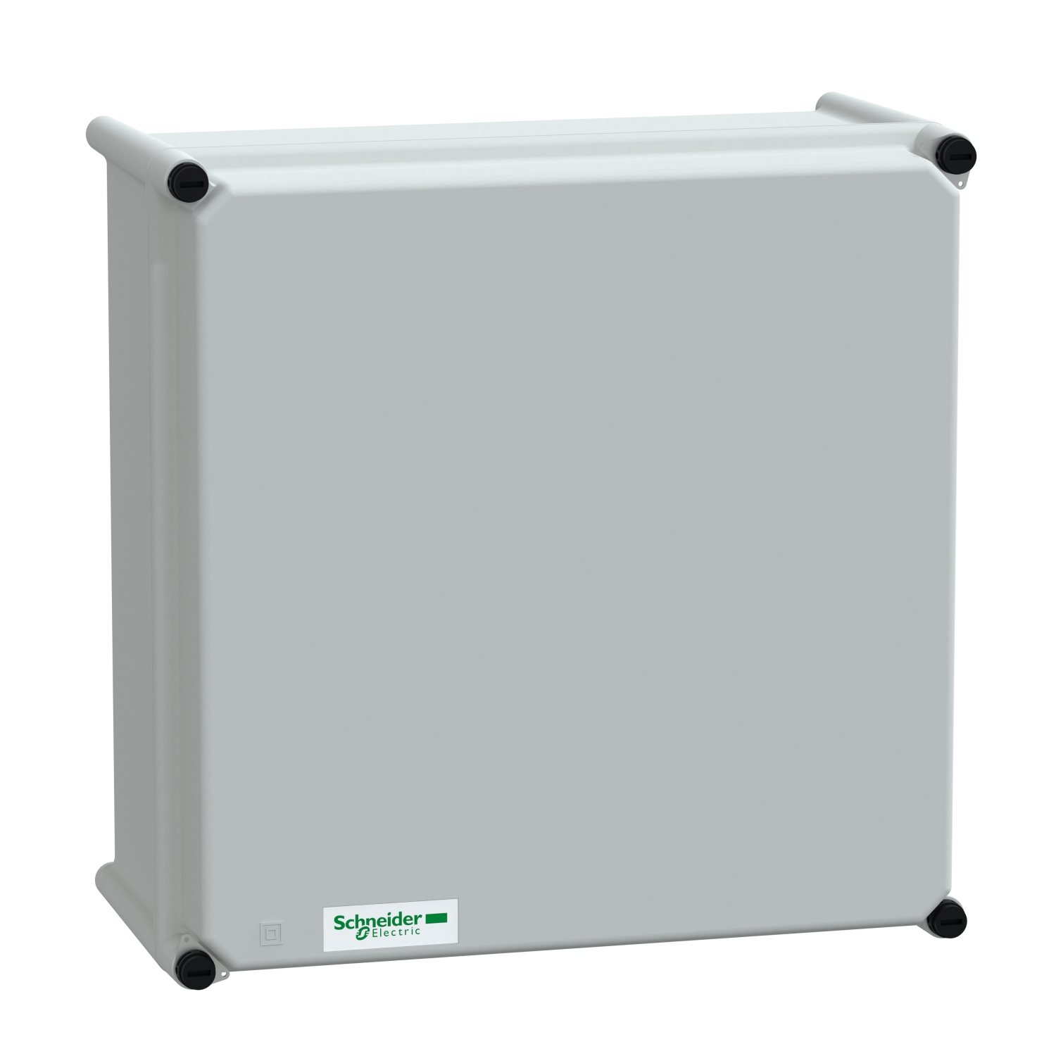 Schneider Electric NSYPLSP3636G Pic_1