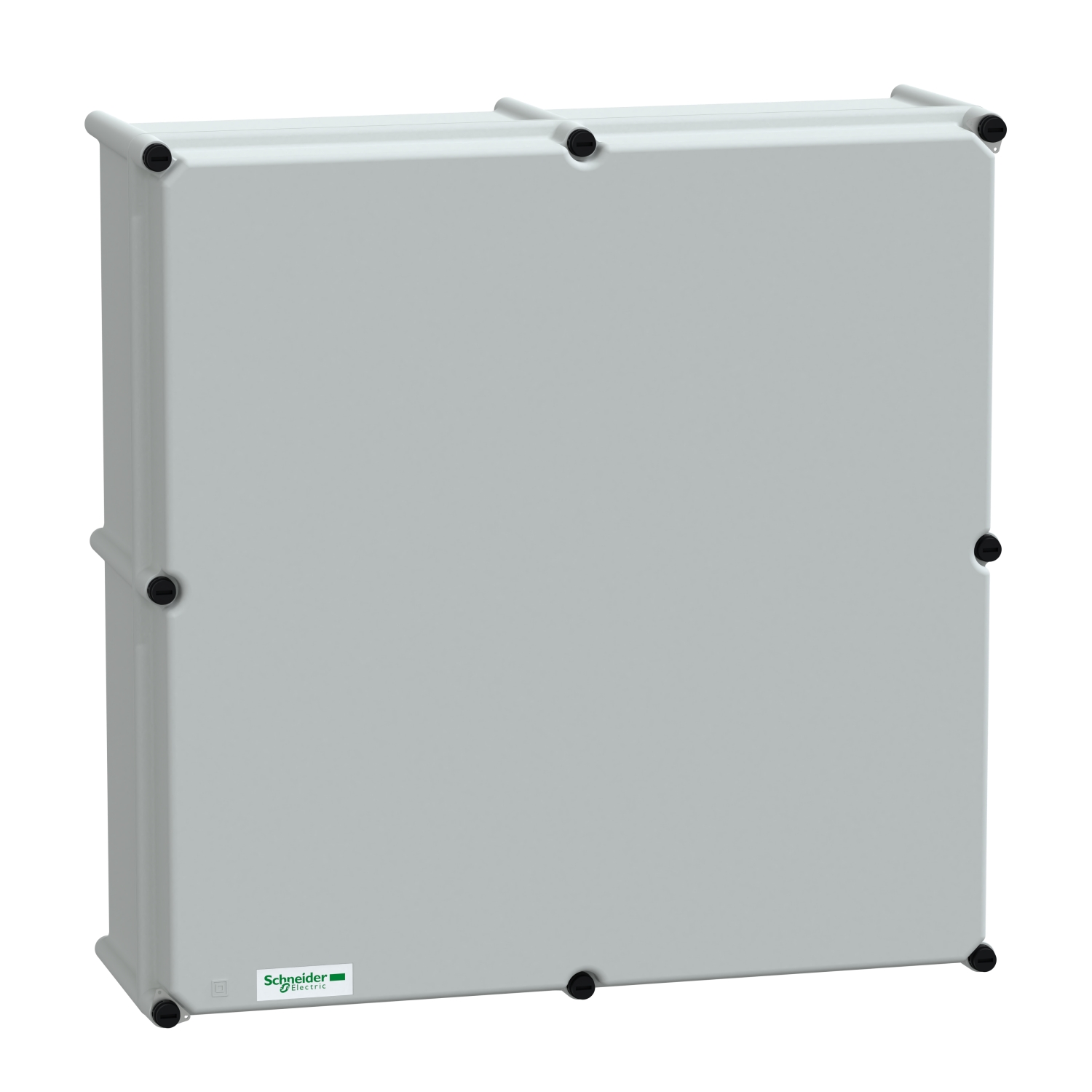 Schneider Electric NSYPLSP5454G Pic_1