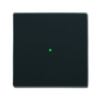 Busch-jaeger 6230-10-81 Pic_1