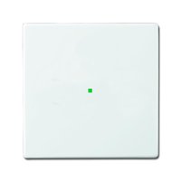 Busch-jaeger 6230-10-84 Pic_2