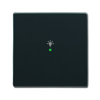 Busch-jaeger 6231-10-81 Pic_1