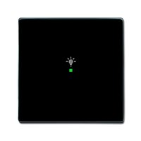 Busch-jaeger 6231-10-81 Pic_2