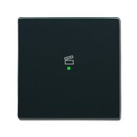 Busch-jaeger 6233-10-81 Pic_1