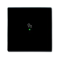 Busch-jaeger 6234-10-81 Pic_2