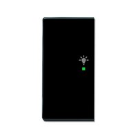 Busch-jaeger 6231-21-81 Pic_2