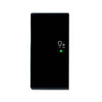 Busch-jaeger 6234-21-81 Pic_2