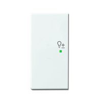 Busch-jaeger 6234-21-84 Pic_1