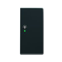 Busch-jaeger 6231-22-81 Pic_1