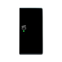 Busch-jaeger 6233-22-81 Pic_2