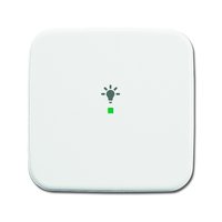 Busch-jaeger 6231-10-214 Pic_1