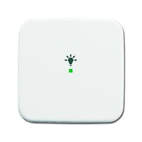 Busch-jaeger 6231-10-214 Pic_2