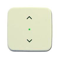 Busch-jaeger 6232-10-212 Pic_1