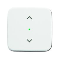 Busch-jaeger 6232-10-214 Pic_1