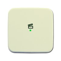 Busch-jaeger 6233-10-212 Pic_1