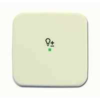 Busch-jaeger 6234-10-212 Pic_1