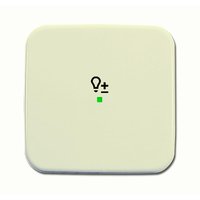 Busch-jaeger 6234-10-212 Pic_2