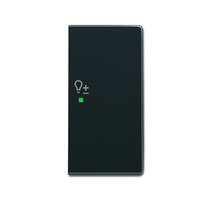 Busch-jaeger 6234-22-81 Pic_1