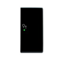 Busch-jaeger 6234-22-81 Pic_2