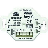 Peha D 451 FU-EBI O.T. Pic_1