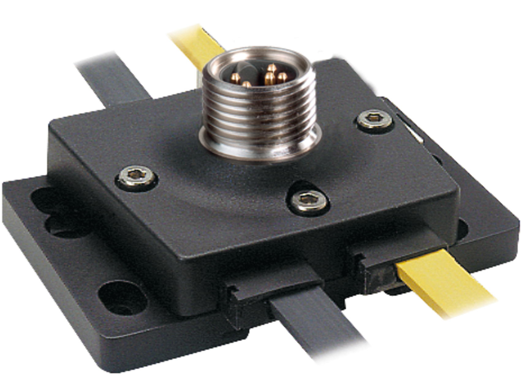 Murrelektronik 55036 Pic_1