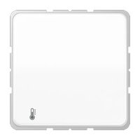 Jung CD 2178 ORTS WW Pic_1