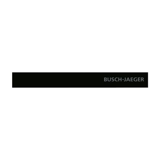 BUSCH-JAEGER ELEKTRO GMBH 6349-825-101 Pic_1