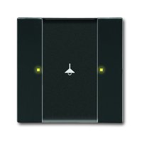 Busch-jaeger 6125/02-81 Pic_1