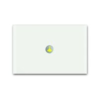 Busch-jaeger 6340-811-101 Pic_1