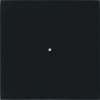 Berker 75161592 Pic_1