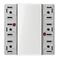 Jung LS 5073 TSM Pic_1