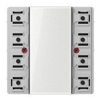 Jung LS 5074 TSM Pic_1