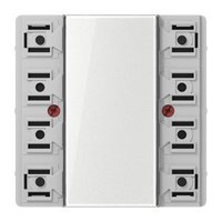 Jung LS 5091 TSM Pic_1