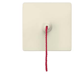 Siemens 5TG6287 Pic_2